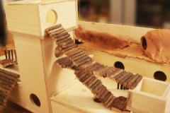 rennmausburg03-2