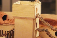 rennmausburg04-2