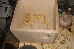 stupsi_macht_nest_01-2